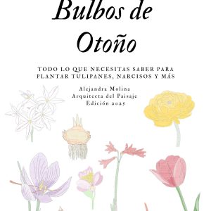 Bulbos de Otoño