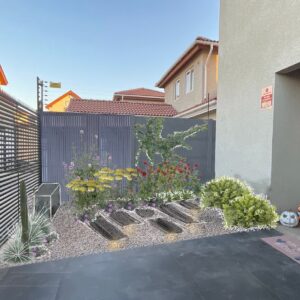 Diagnóstico de tu Jardín